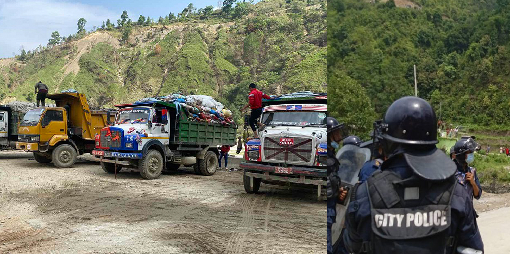 ६४ वर्ष पछि फेला पर्यो अनौठो चरा, आधा मानिस, आधा पंक्षी !