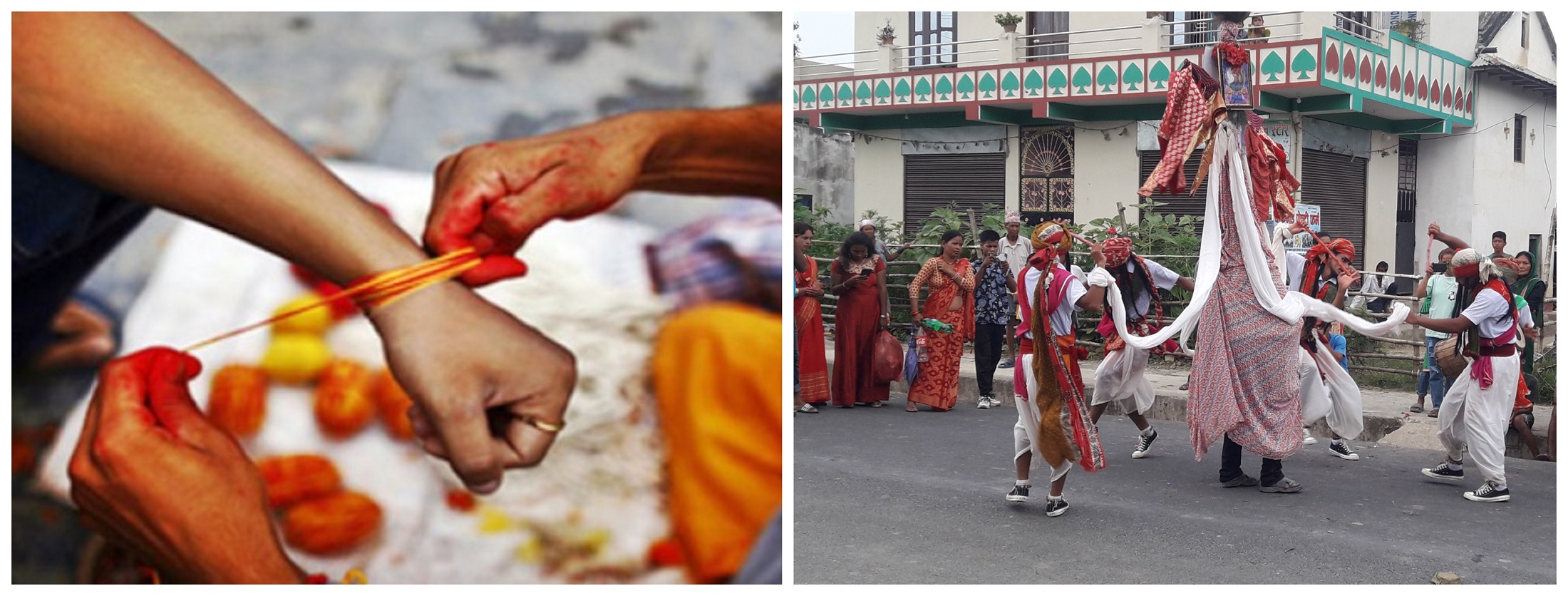 ६४ वर्ष पछि फेला पर्यो अनौठो चरा, आधा मानिस, आधा पंक्षी !