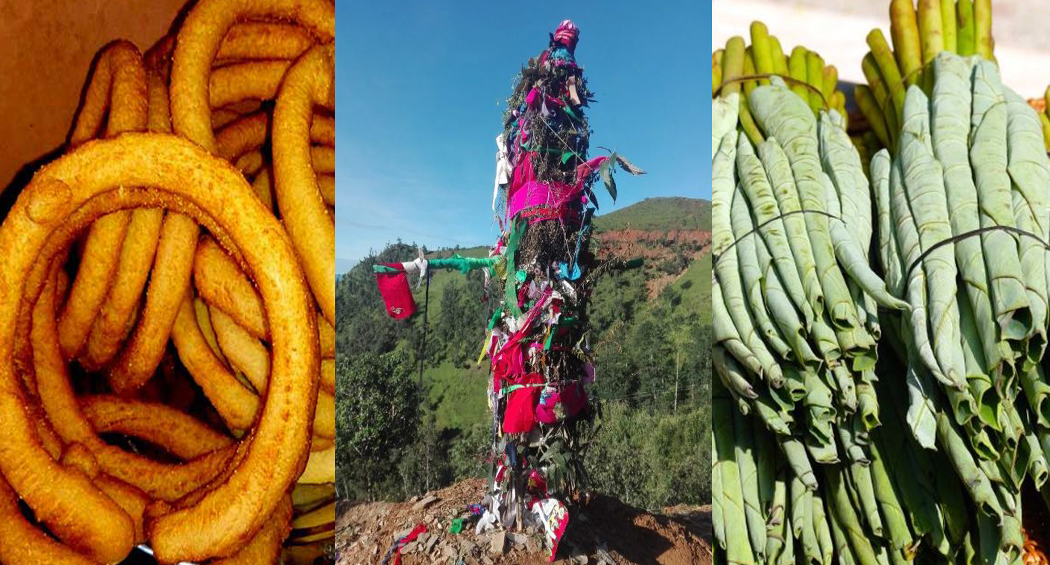 ६४ वर्ष पछि फेला पर्यो अनौठो चरा, आधा मानिस, आधा पंक्षी !