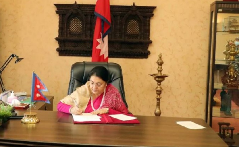 ६४ वर्ष पछि फेला पर्यो अनौठो चरा, आधा मानिस, आधा पंक्षी !