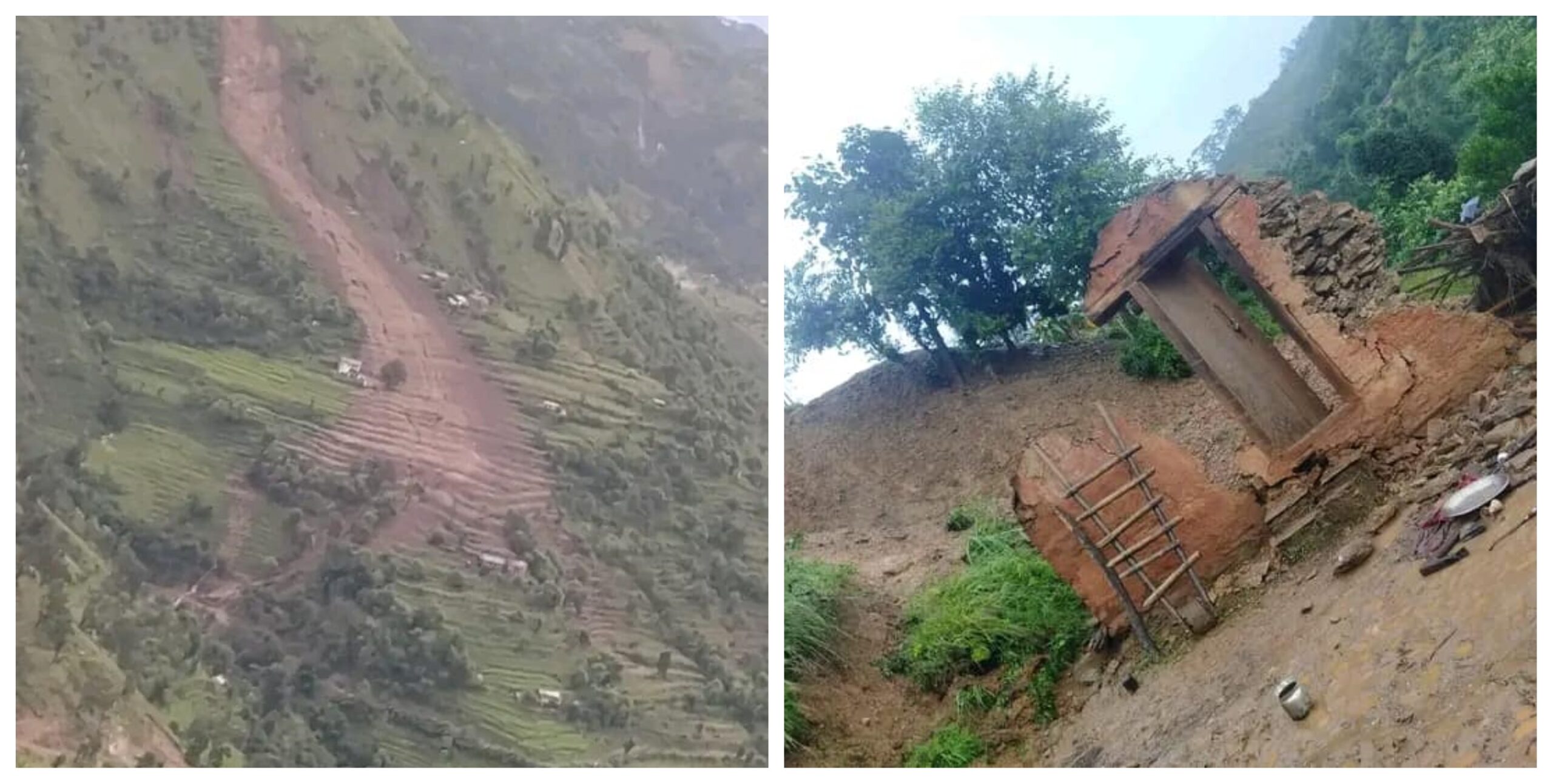 ६४ वर्ष पछि फेला पर्यो अनौठो चरा, आधा मानिस, आधा पंक्षी !