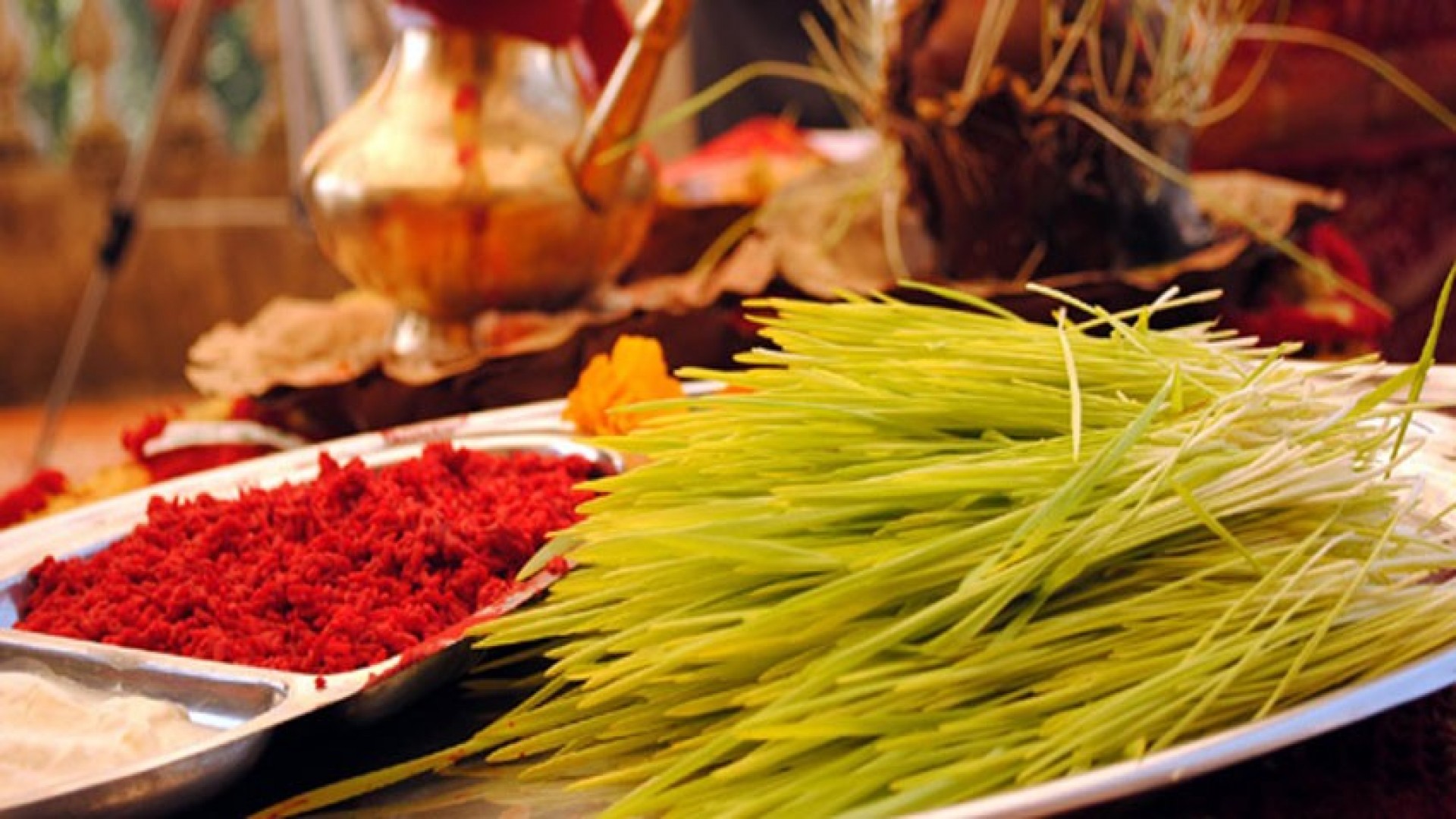 ६४ वर्ष पछि फेला पर्यो अनौठो चरा, आधा मानिस, आधा पंक्षी !