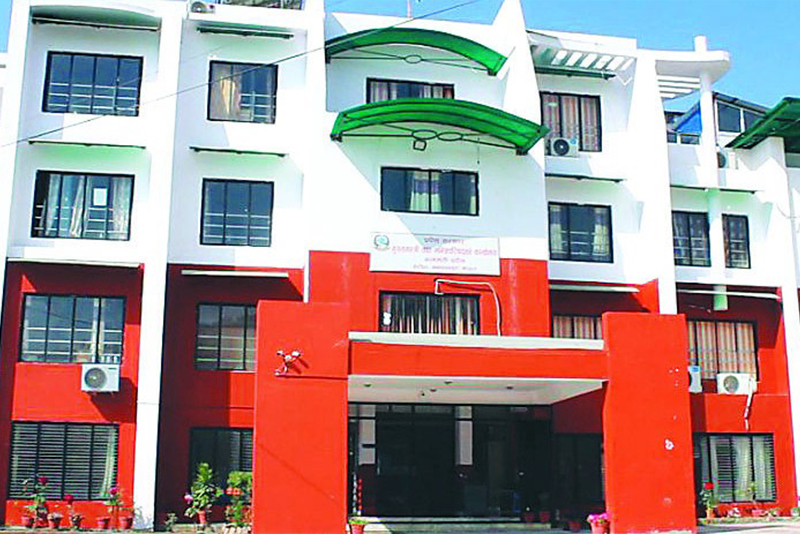 ६४ वर्ष पछि फेला पर्यो अनौठो चरा, आधा मानिस, आधा पंक्षी !