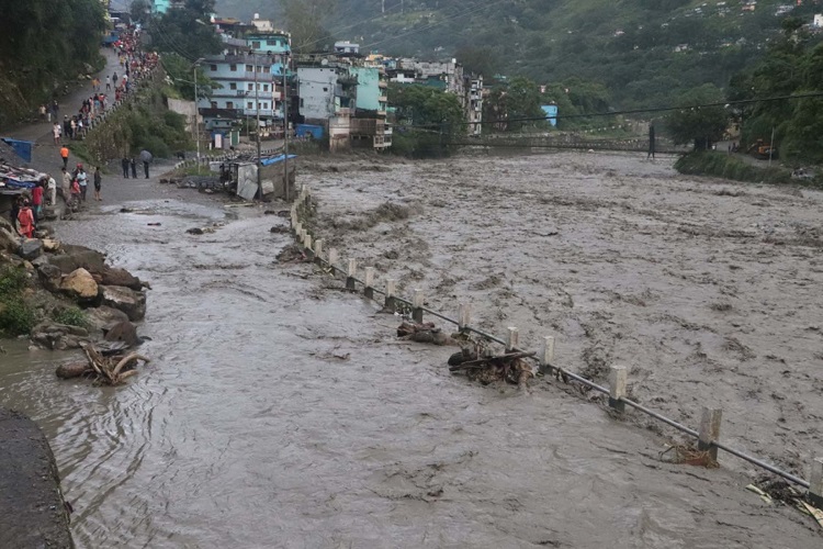 ६४ वर्ष पछि फेला पर्यो अनौठो चरा, आधा मानिस, आधा पंक्षी !