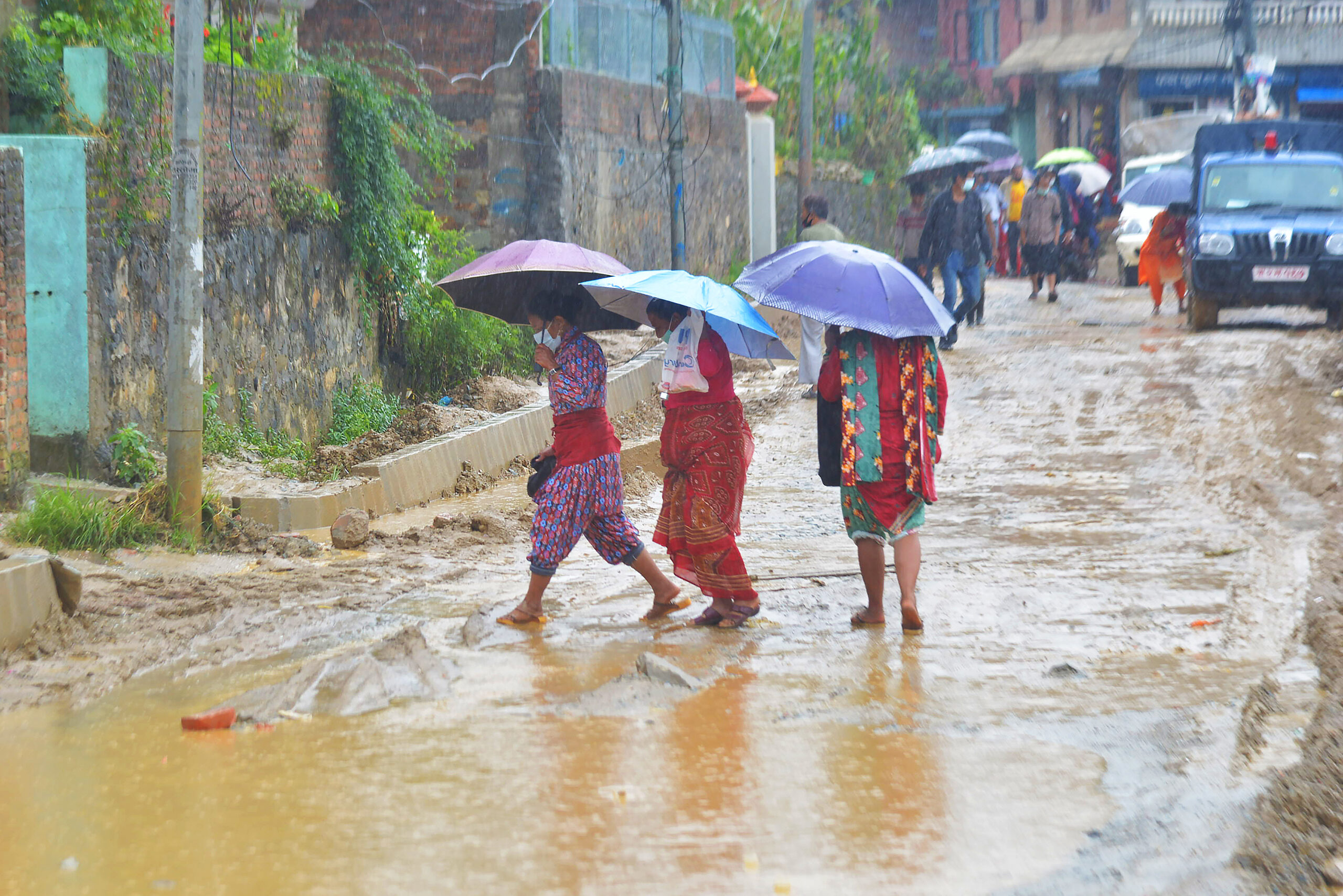 ६४ वर्ष पछि फेला पर्यो अनौठो चरा, आधा मानिस, आधा पंक्षी !