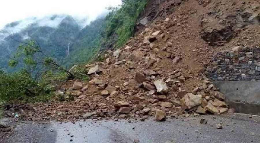 ६४ वर्ष पछि फेला पर्यो अनौठो चरा, आधा मानिस, आधा पंक्षी !
