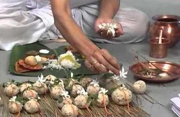 ६४ वर्ष पछि फेला पर्यो अनौठो चरा, आधा मानिस, आधा पंक्षी !