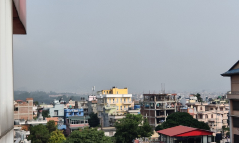 ६४ वर्ष पछि फेला पर्यो अनौठो चरा, आधा मानिस, आधा पंक्षी !