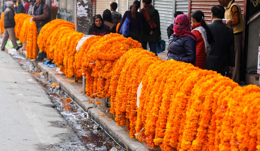६४ वर्ष पछि फेला पर्यो अनौठो चरा, आधा मानिस, आधा पंक्षी !