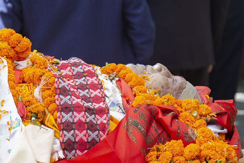 ६४ वर्ष पछि फेला पर्यो अनौठो चरा, आधा मानिस, आधा पंक्षी !