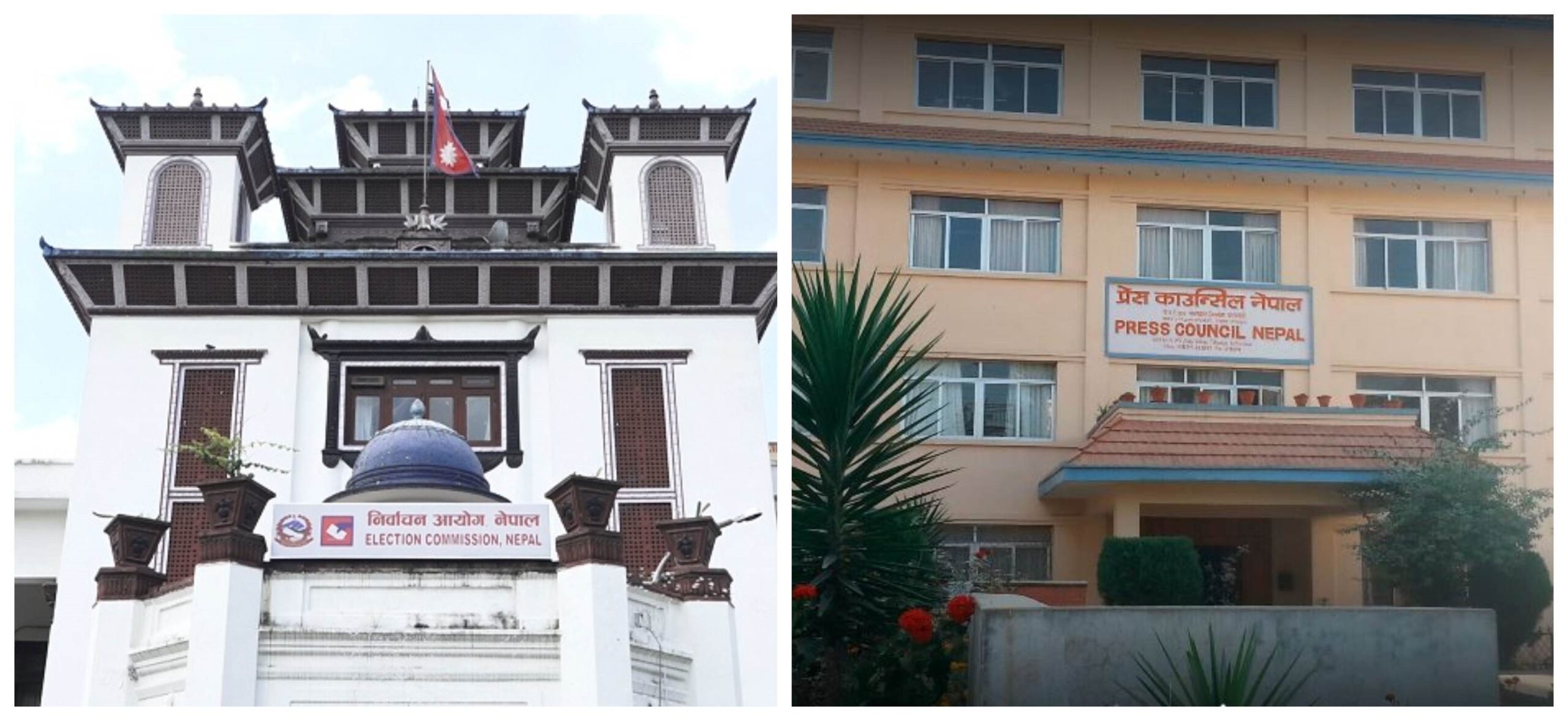 ६४ वर्ष पछि फेला पर्यो अनौठो चरा, आधा मानिस, आधा पंक्षी !