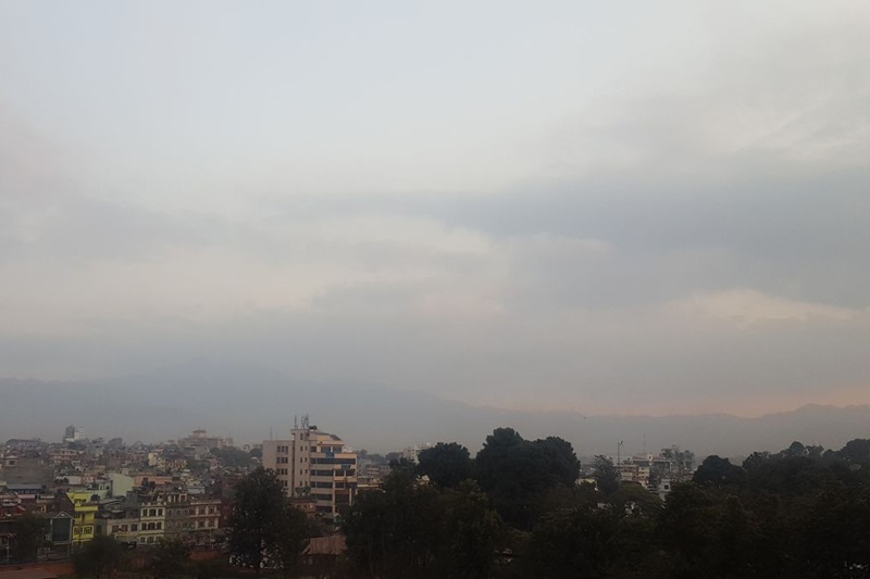 ६४ वर्ष पछि फेला पर्यो अनौठो चरा, आधा मानिस, आधा पंक्षी !