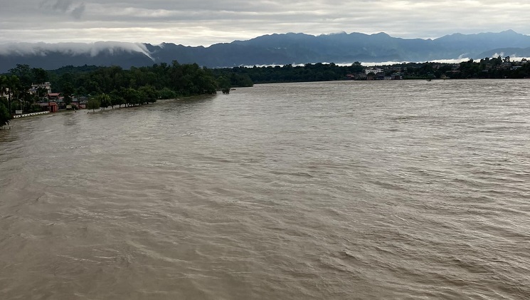 ६४ वर्ष पछि फेला पर्यो अनौठो चरा, आधा मानिस, आधा पंक्षी !