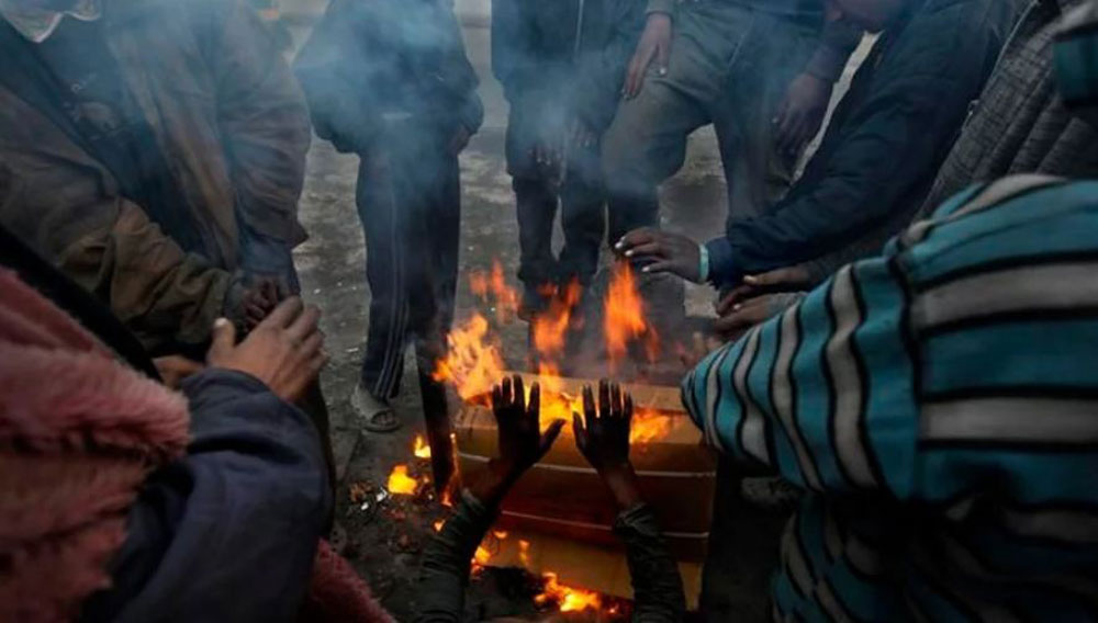 ६४ वर्ष पछि फेला पर्यो अनौठो चरा, आधा मानिस, आधा पंक्षी !