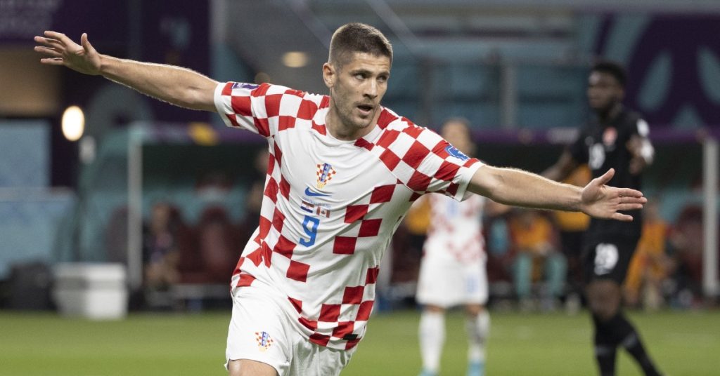 ६४ वर्ष पछि फेला पर्यो अनौठो चरा, आधा मानिस, आधा पंक्षी !