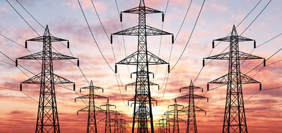 ६४ वर्ष पछि फेला पर्यो अनौठो चरा, आधा मानिस, आधा पंक्षी !