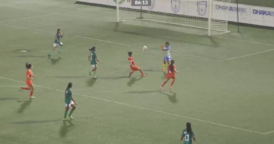 ६४ वर्ष पछि फेला पर्यो अनौठो चरा, आधा मानिस, आधा पंक्षी !