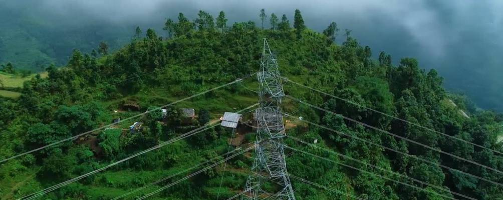 ६४ वर्ष पछि फेला पर्यो अनौठो चरा, आधा मानिस, आधा पंक्षी !
