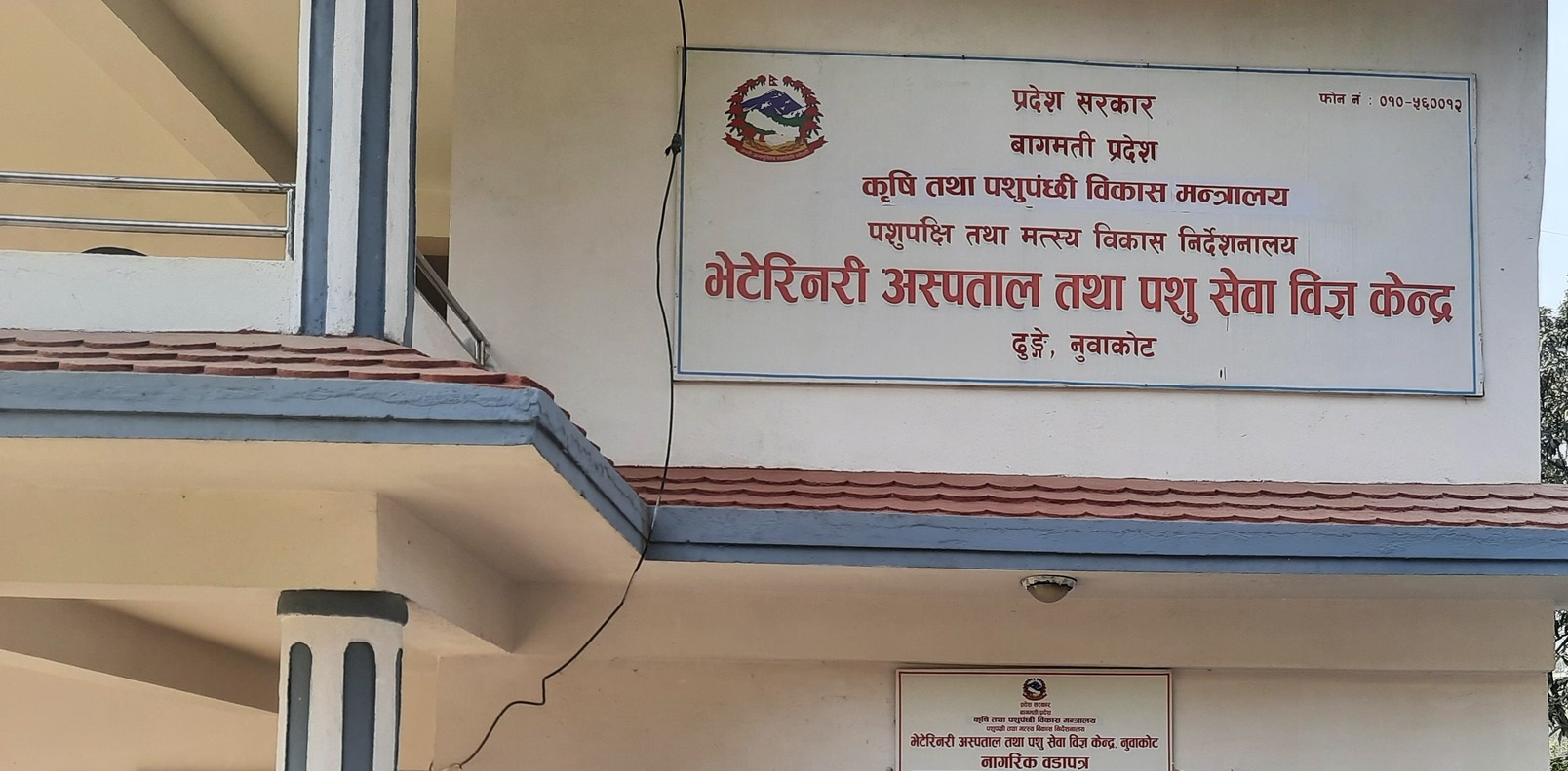 ६४ वर्ष पछि फेला पर्यो अनौठो चरा, आधा मानिस, आधा पंक्षी !