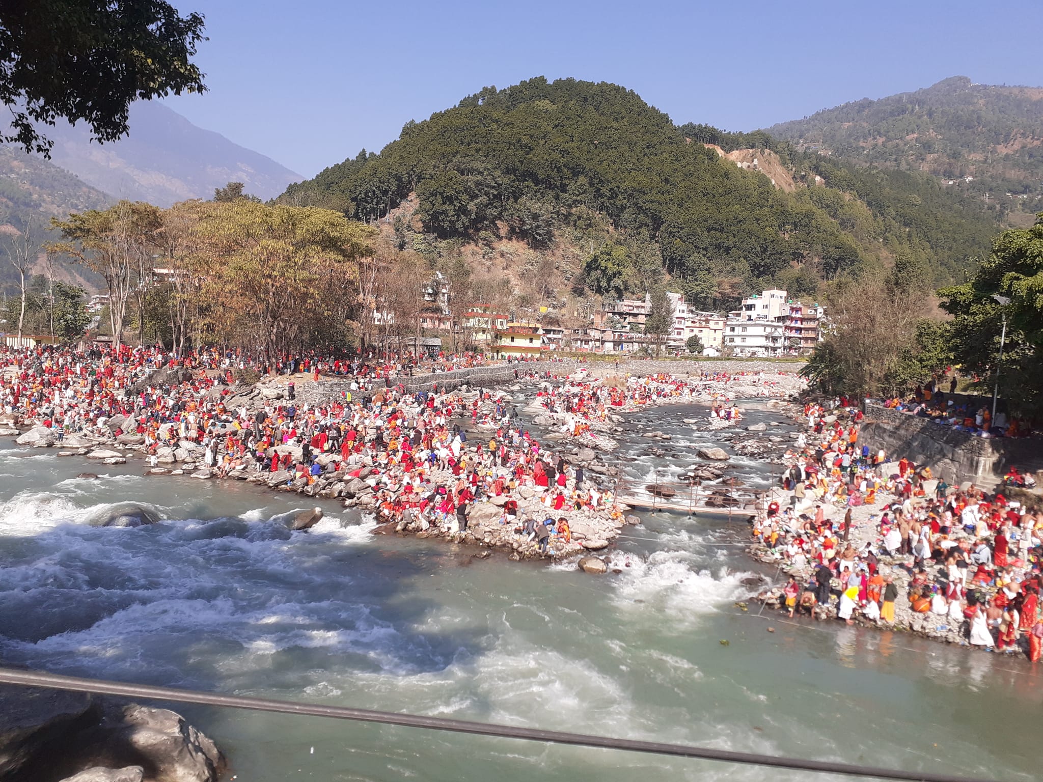 ६४ वर्ष पछि फेला पर्यो अनौठो चरा, आधा मानिस, आधा पंक्षी !