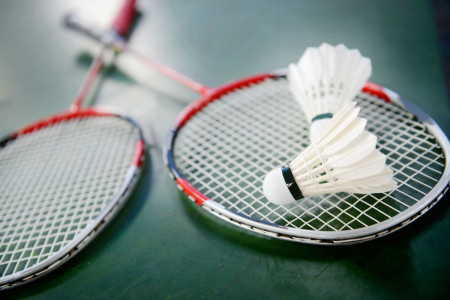 ६४ वर्ष पछि फेला पर्यो अनौठो चरा, आधा मानिस, आधा पंक्षी !