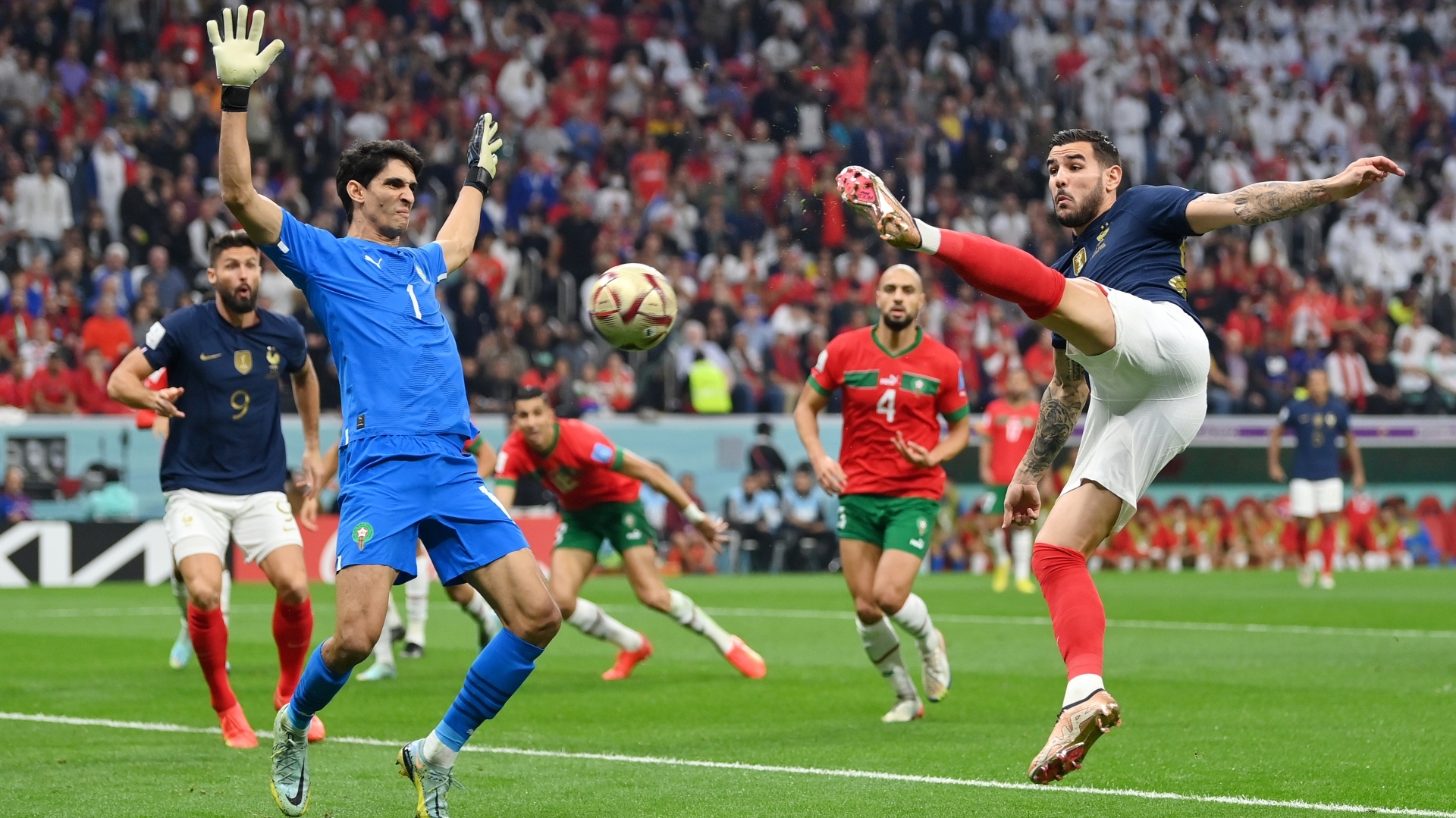 ६४ वर्ष पछि फेला पर्यो अनौठो चरा, आधा मानिस, आधा पंक्षी !