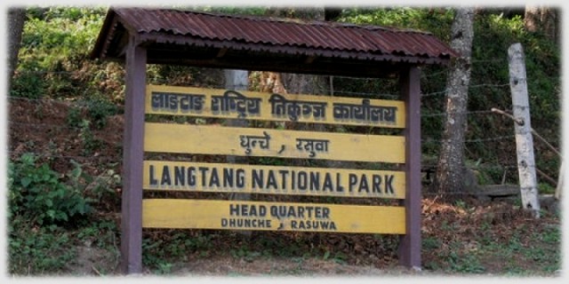 ६४ वर्ष पछि फेला पर्यो अनौठो चरा, आधा मानिस, आधा पंक्षी !