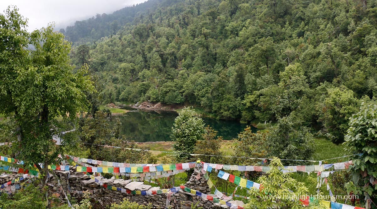 ६४ वर्ष पछि फेला पर्यो अनौठो चरा, आधा मानिस, आधा पंक्षी !