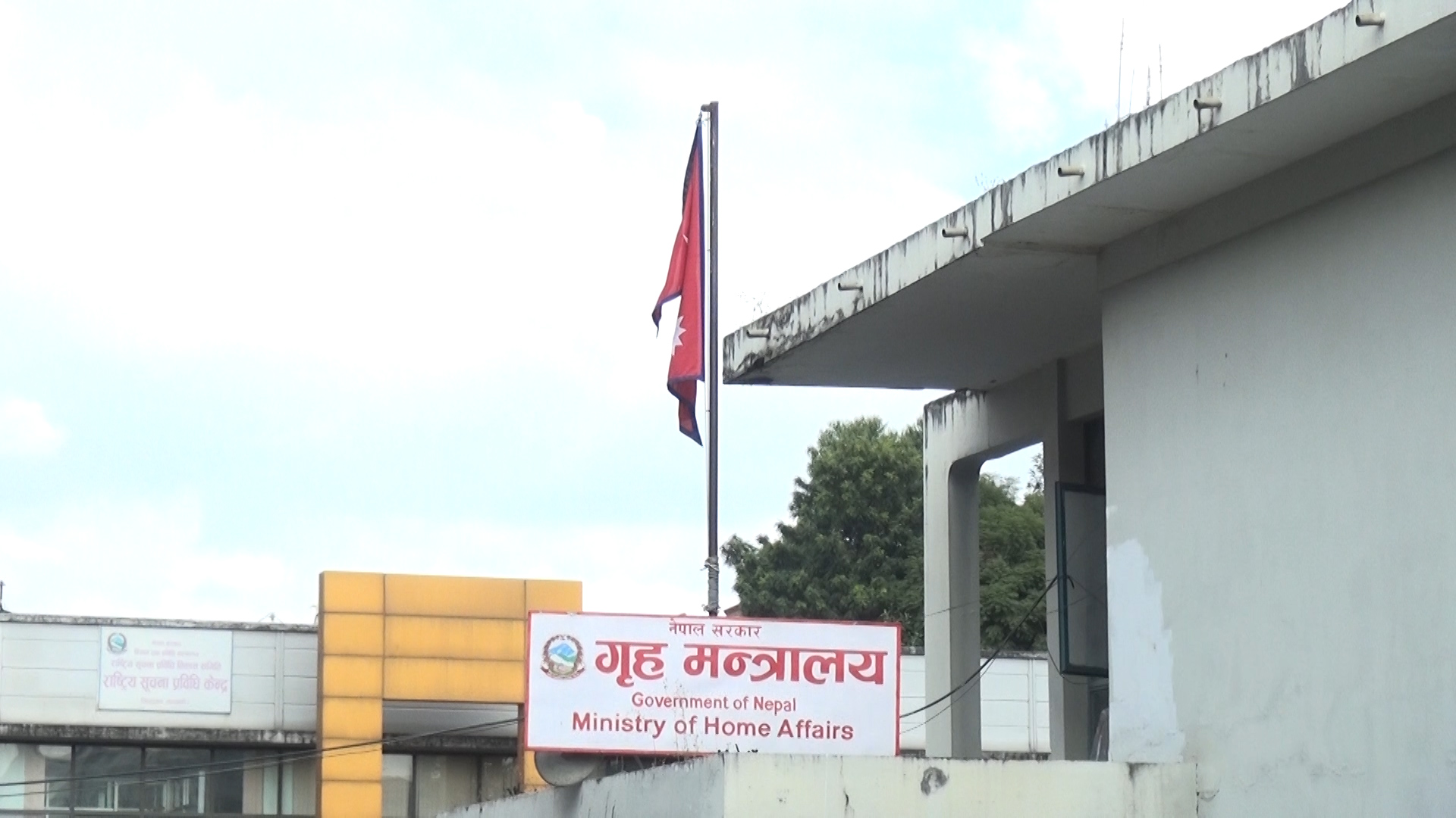 ६४ वर्ष पछि फेला पर्यो अनौठो चरा, आधा मानिस, आधा पंक्षी !