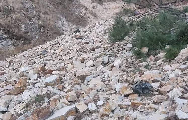६४ वर्ष पछि फेला पर्यो अनौठो चरा, आधा मानिस, आधा पंक्षी !