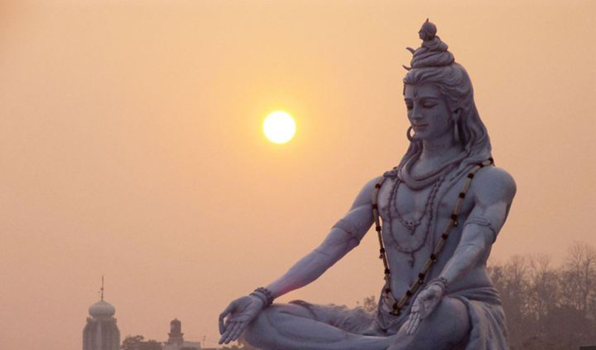 ६४ वर्ष पछि फेला पर्यो अनौठो चरा, आधा मानिस, आधा पंक्षी !