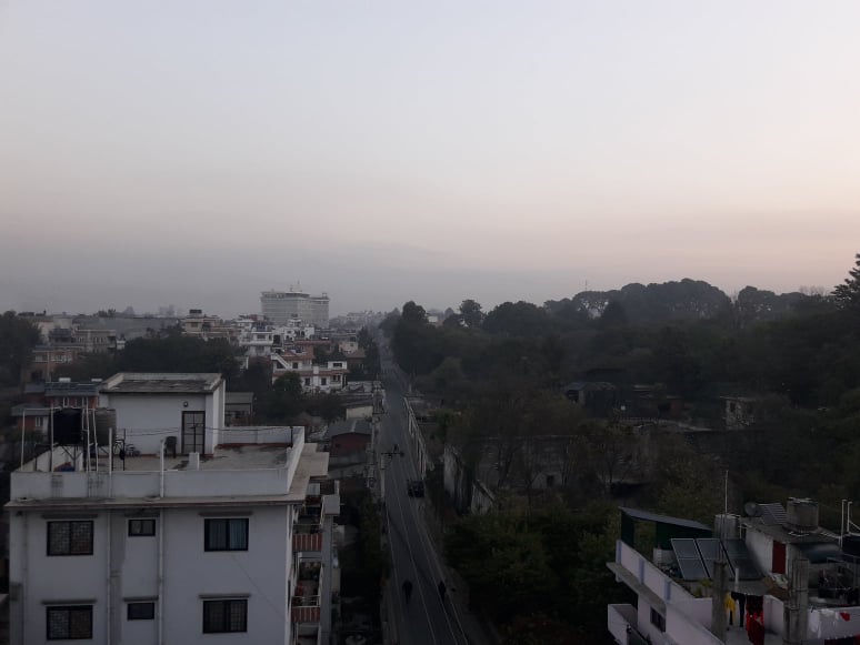 ६४ वर्ष पछि फेला पर्यो अनौठो चरा, आधा मानिस, आधा पंक्षी !