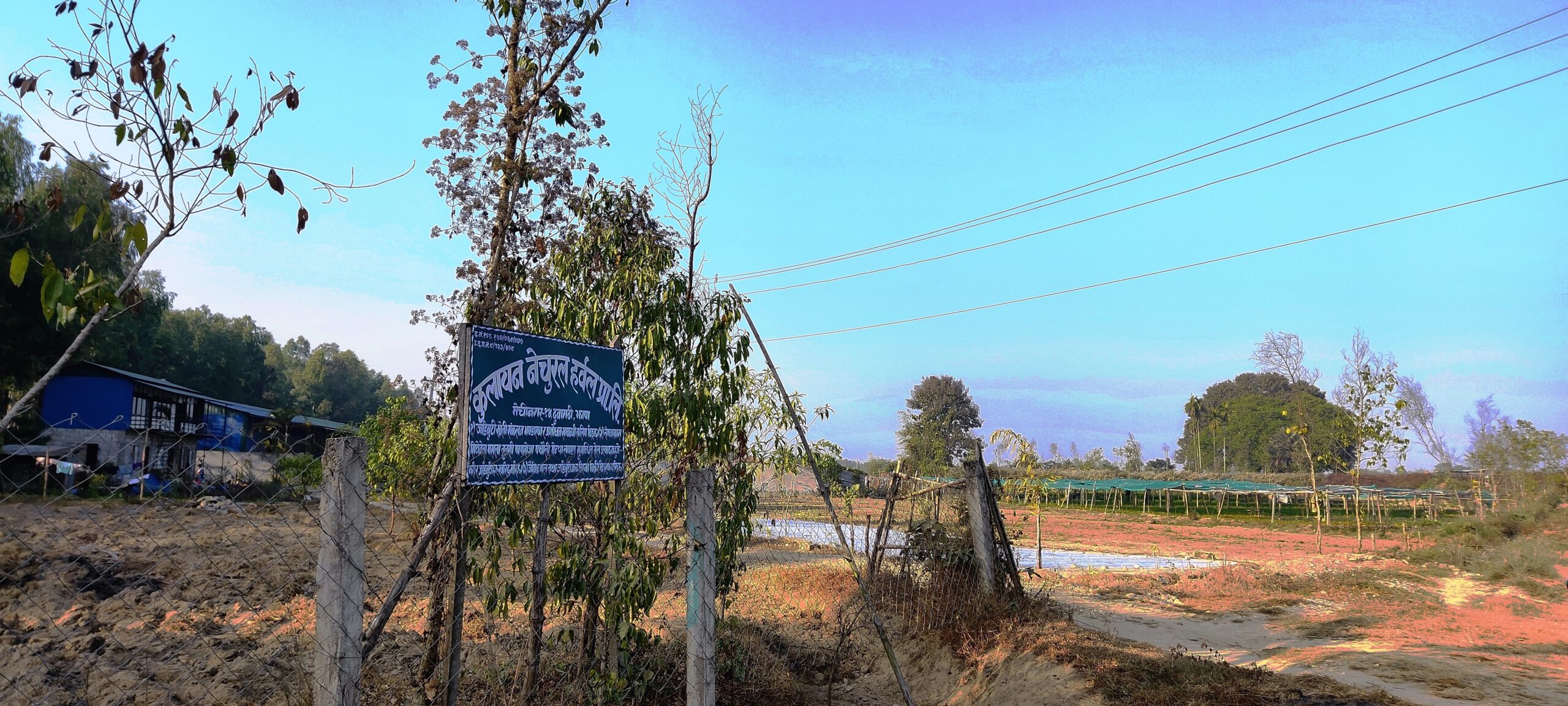 ६४ वर्ष पछि फेला पर्यो अनौठो चरा, आधा मानिस, आधा पंक्षी !