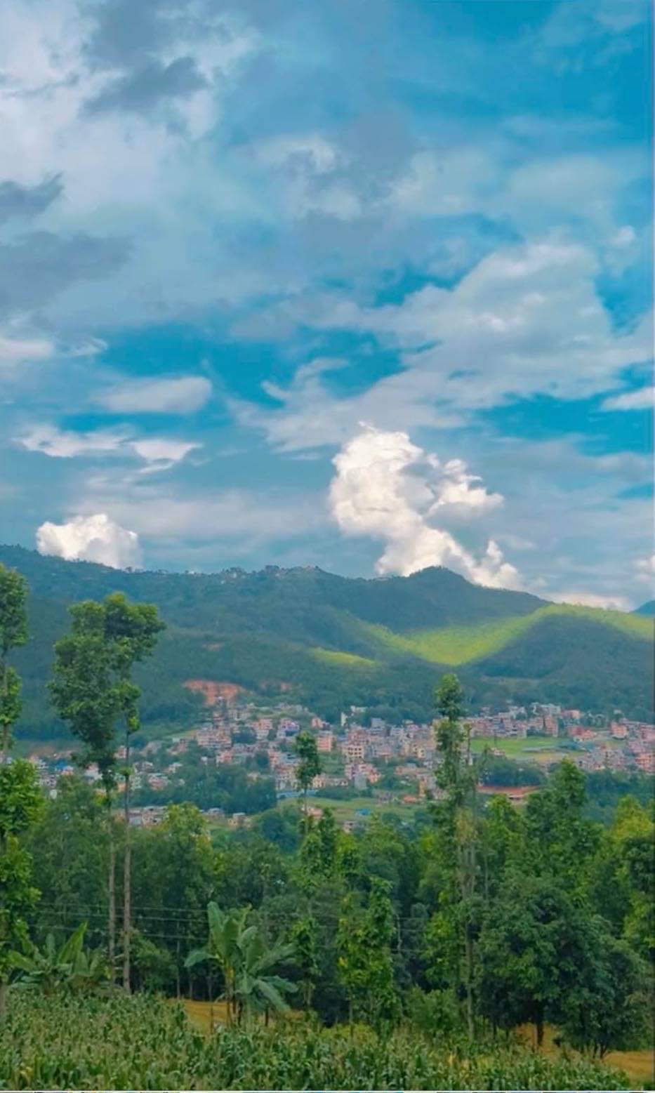 ६४ वर्ष पछि फेला पर्यो अनौठो चरा, आधा मानिस, आधा पंक्षी !