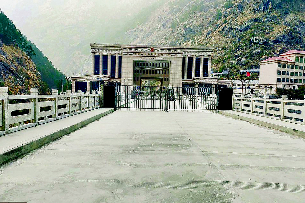 ६४ वर्ष पछि फेला पर्यो अनौठो चरा, आधा मानिस, आधा पंक्षी !
