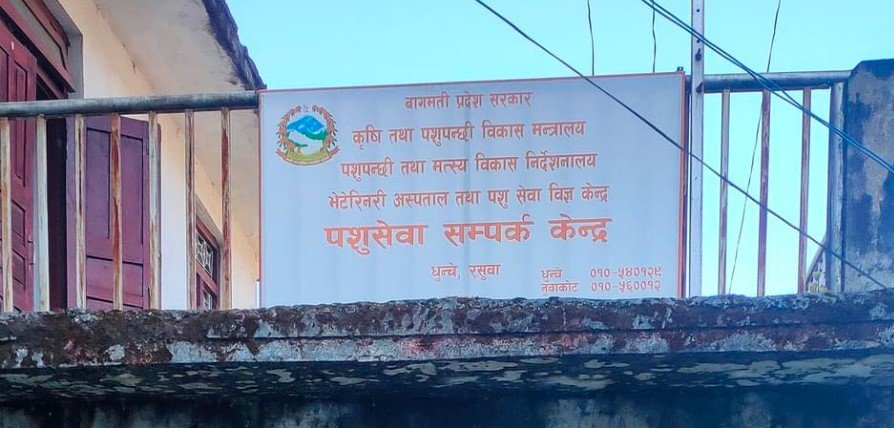 ६४ वर्ष पछि फेला पर्यो अनौठो चरा, आधा मानिस, आधा पंक्षी !