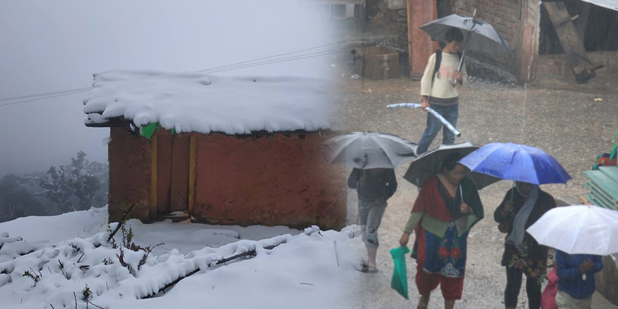 ६४ वर्ष पछि फेला पर्यो अनौठो चरा, आधा मानिस, आधा पंक्षी !