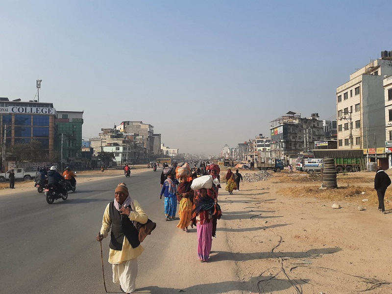 ६४ वर्ष पछि फेला पर्यो अनौठो चरा, आधा मानिस, आधा पंक्षी !