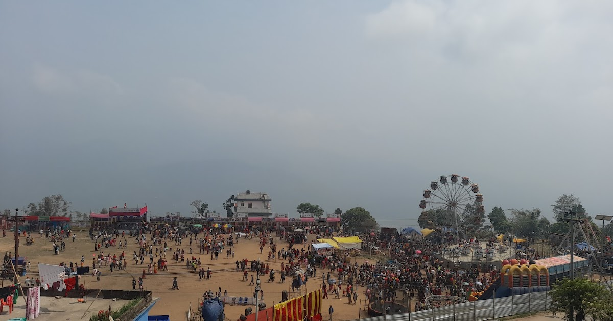 ६४ वर्ष पछि फेला पर्यो अनौठो चरा, आधा मानिस, आधा पंक्षी !