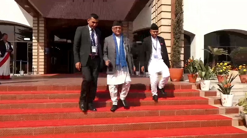 ६४ वर्ष पछि फेला पर्यो अनौठो चरा, आधा मानिस, आधा पंक्षी !