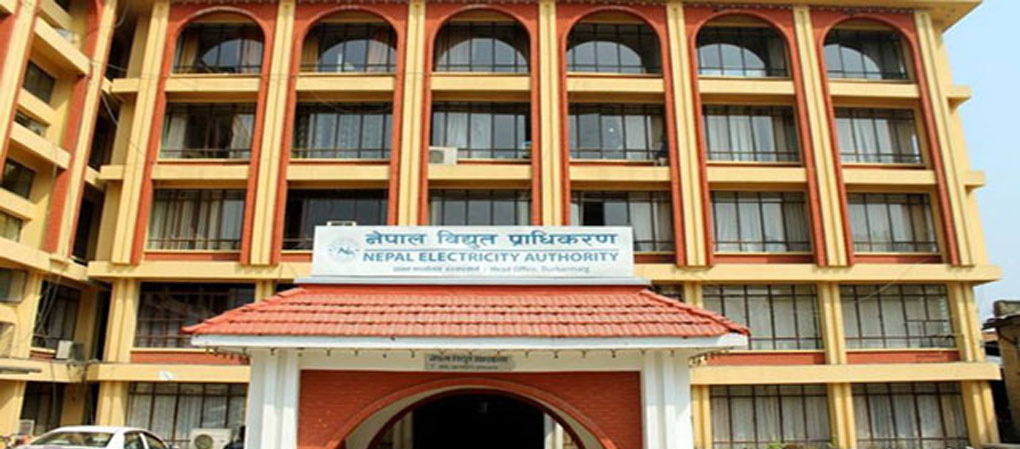 ६४ वर्ष पछि फेला पर्यो अनौठो चरा, आधा मानिस, आधा पंक्षी !