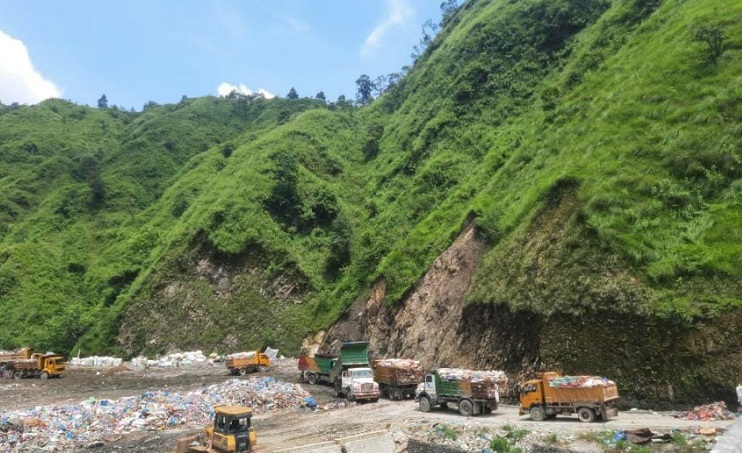 ६४ वर्ष पछि फेला पर्यो अनौठो चरा, आधा मानिस, आधा पंक्षी !