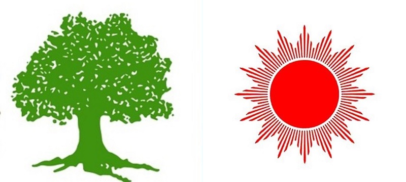 ६४ वर्ष पछि फेला पर्यो अनौठो चरा, आधा मानिस, आधा पंक्षी !