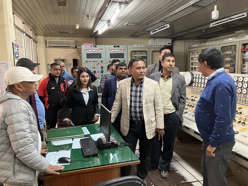 ६४ वर्ष पछि फेला पर्यो अनौठो चरा, आधा मानिस, आधा पंक्षी !