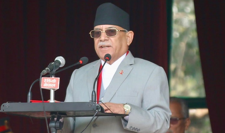 ६४ वर्ष पछि फेला पर्यो अनौठो चरा, आधा मानिस, आधा पंक्षी !