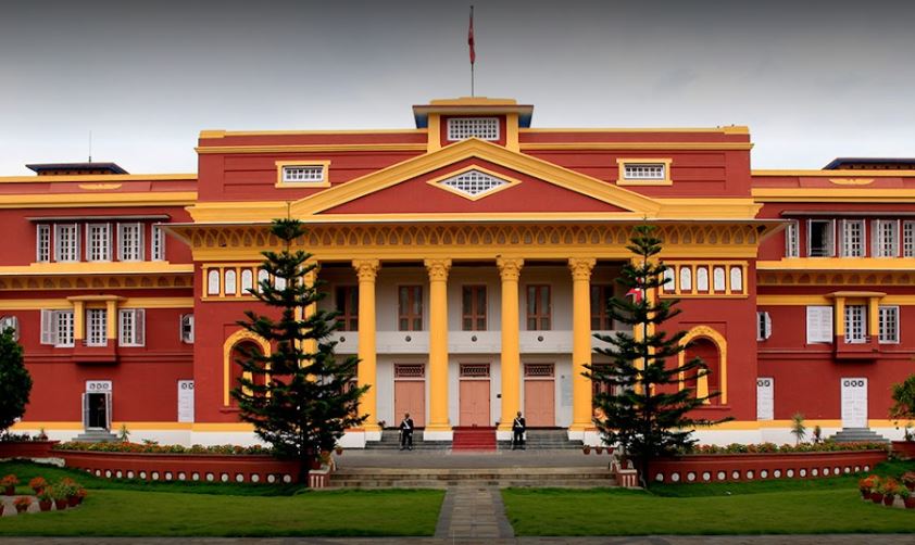 ६४ वर्ष पछि फेला पर्यो अनौठो चरा, आधा मानिस, आधा पंक्षी !