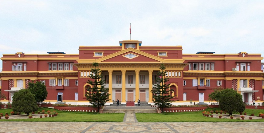 ६४ वर्ष पछि फेला पर्यो अनौठो चरा, आधा मानिस, आधा पंक्षी !