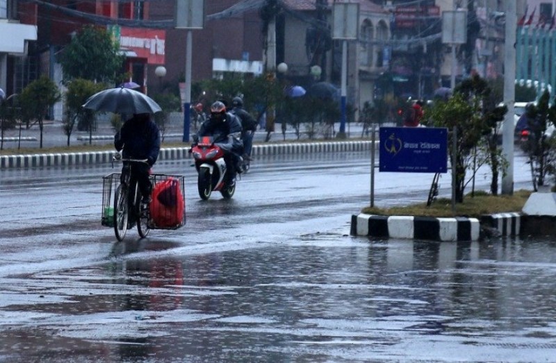 ६४ वर्ष पछि फेला पर्यो अनौठो चरा, आधा मानिस, आधा पंक्षी !