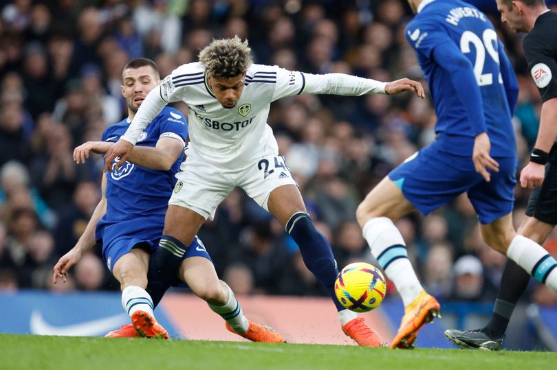 ६४ वर्ष पछि फेला पर्यो अनौठो चरा, आधा मानिस, आधा पंक्षी !