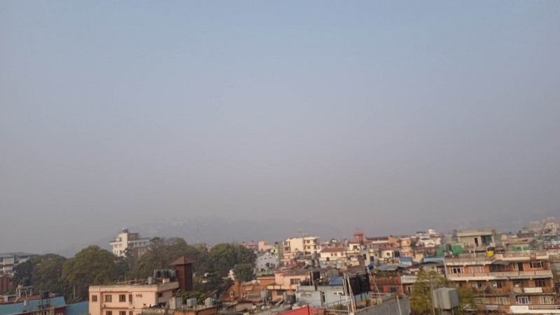 ६४ वर्ष पछि फेला पर्यो अनौठो चरा, आधा मानिस, आधा पंक्षी !